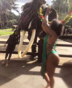 IMHSWIM Bali Fringe